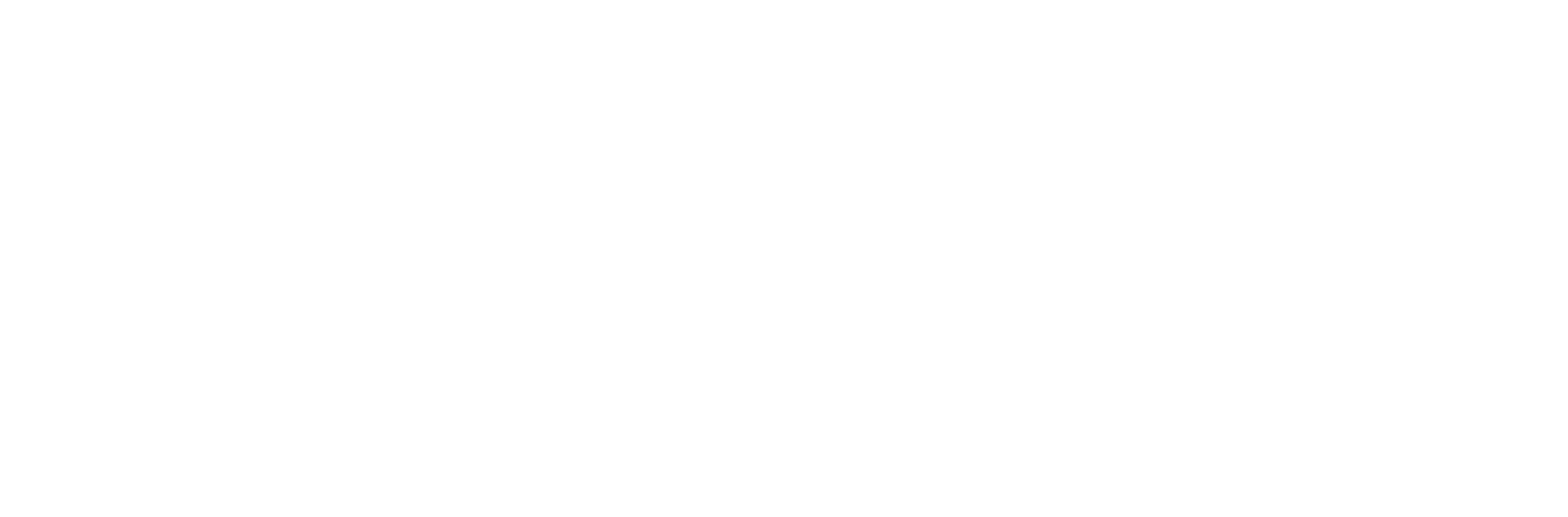 Logo Team blanco
